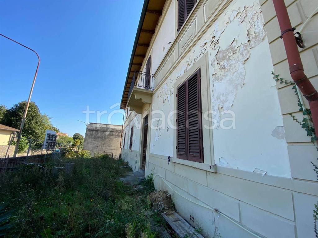 immagine annuncio 12 di 13