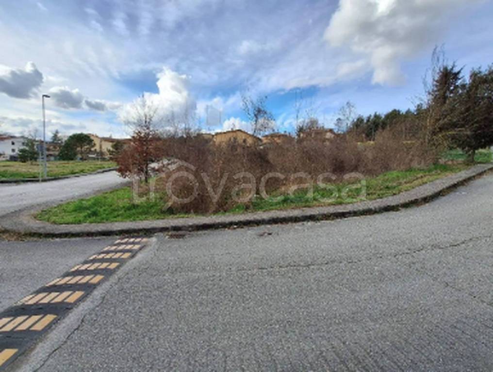 immagine annuncio 3 di 11