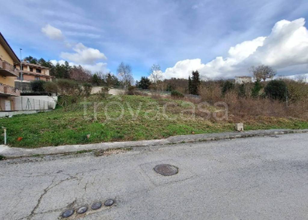 immagine annuncio 4 di 11