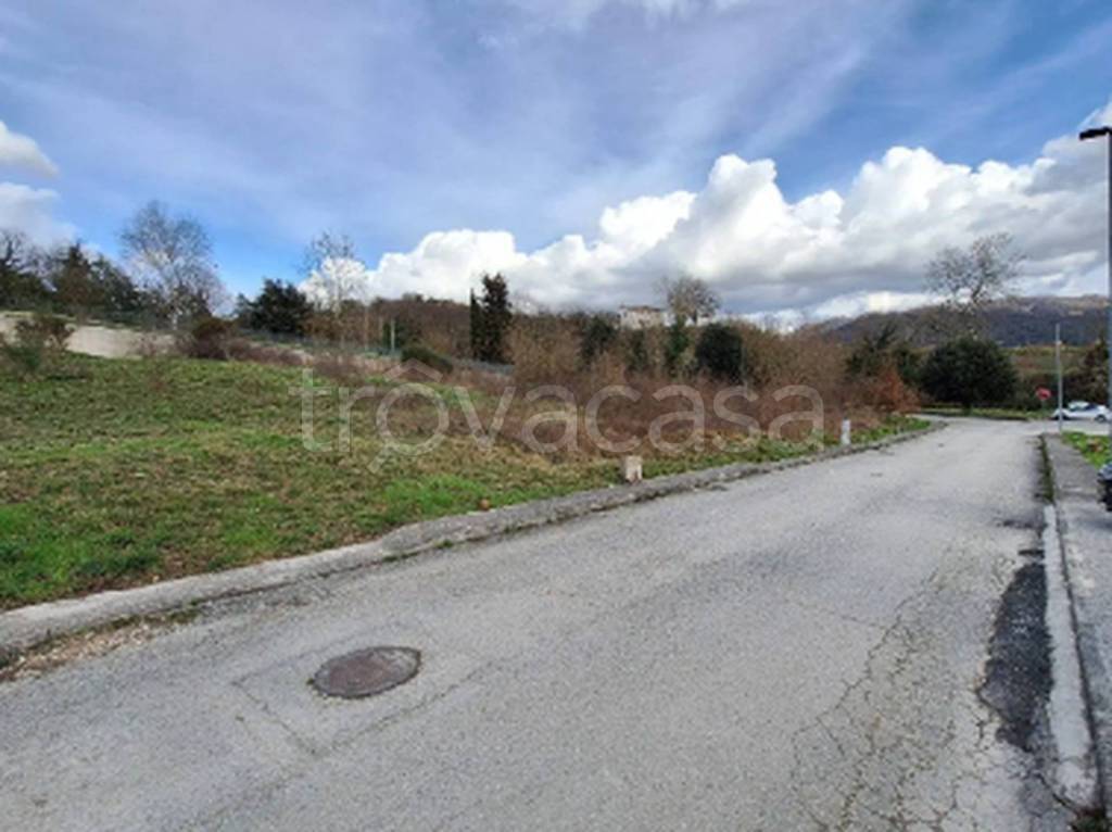 immagine annuncio 5 di 11