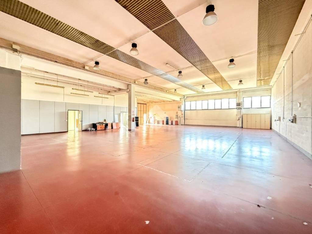 immagine annuncio 2 di 15