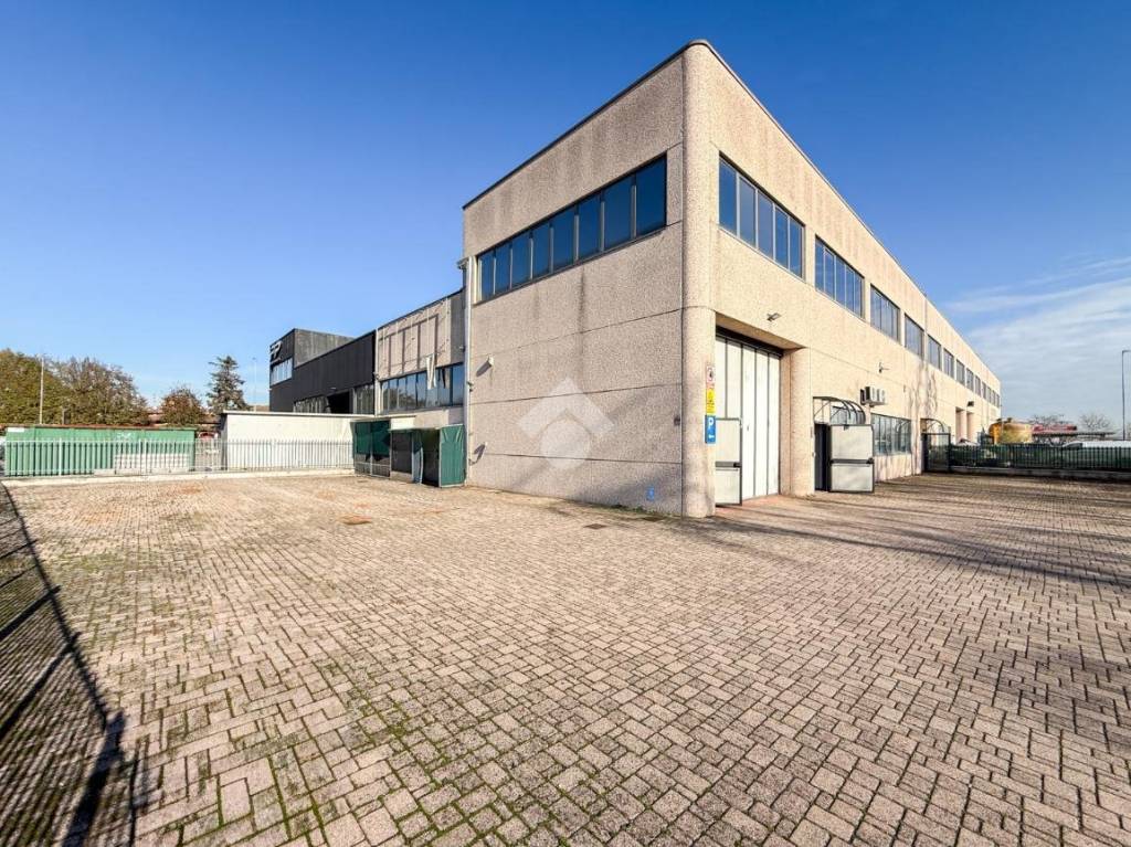 immagine annuncio 6 di 15