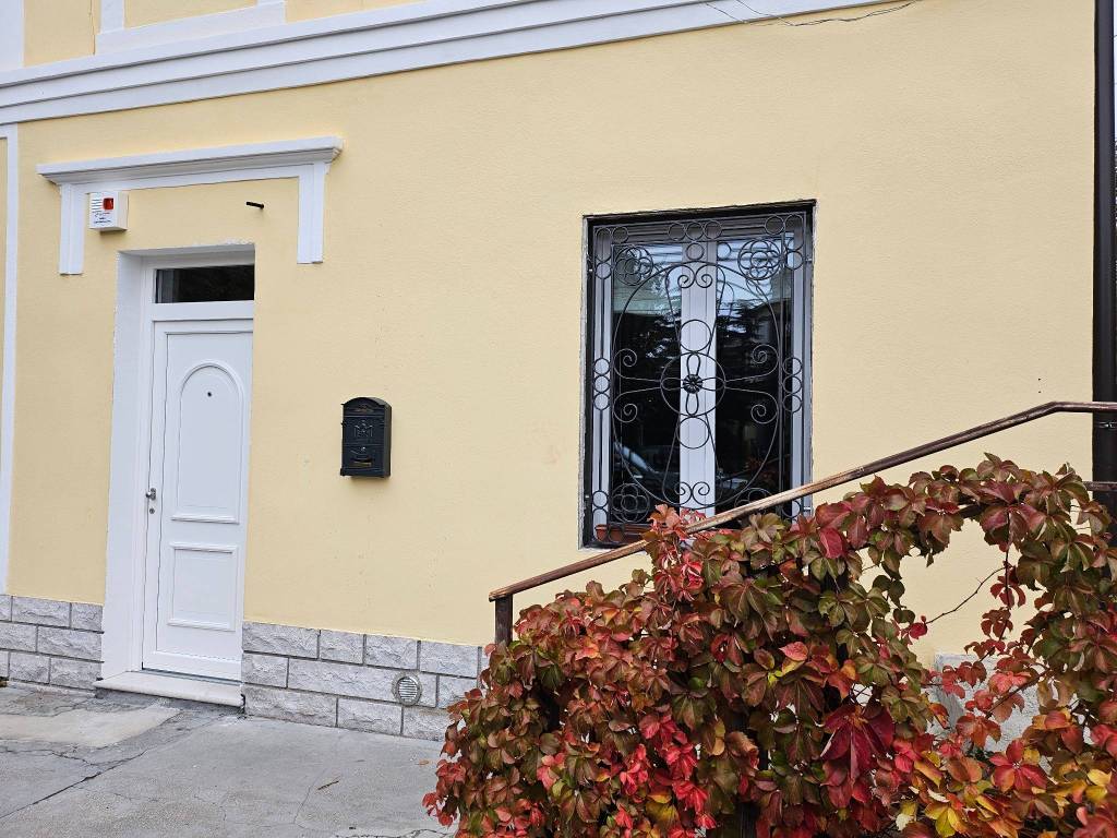 immagine annuncio 1 di 12