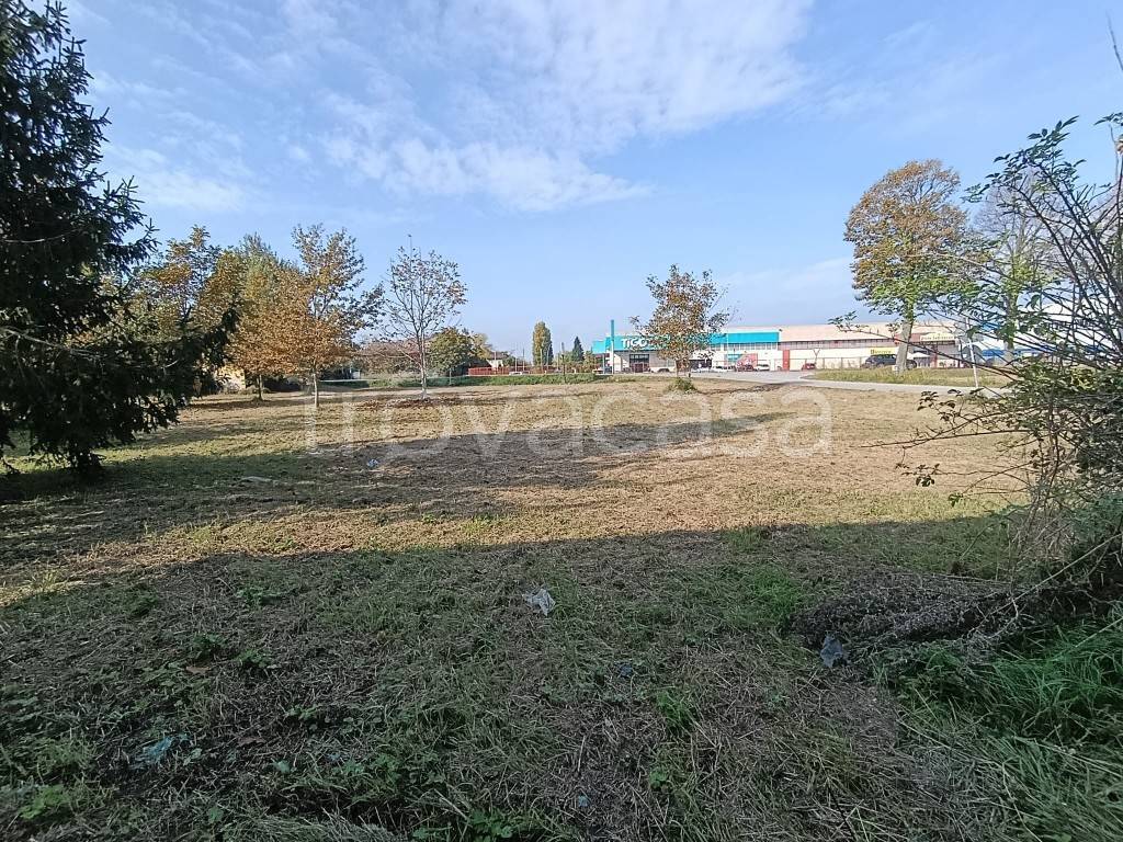 immagine annuncio 5 di 6