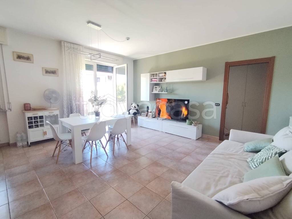 immagine annuncio 2 di 13