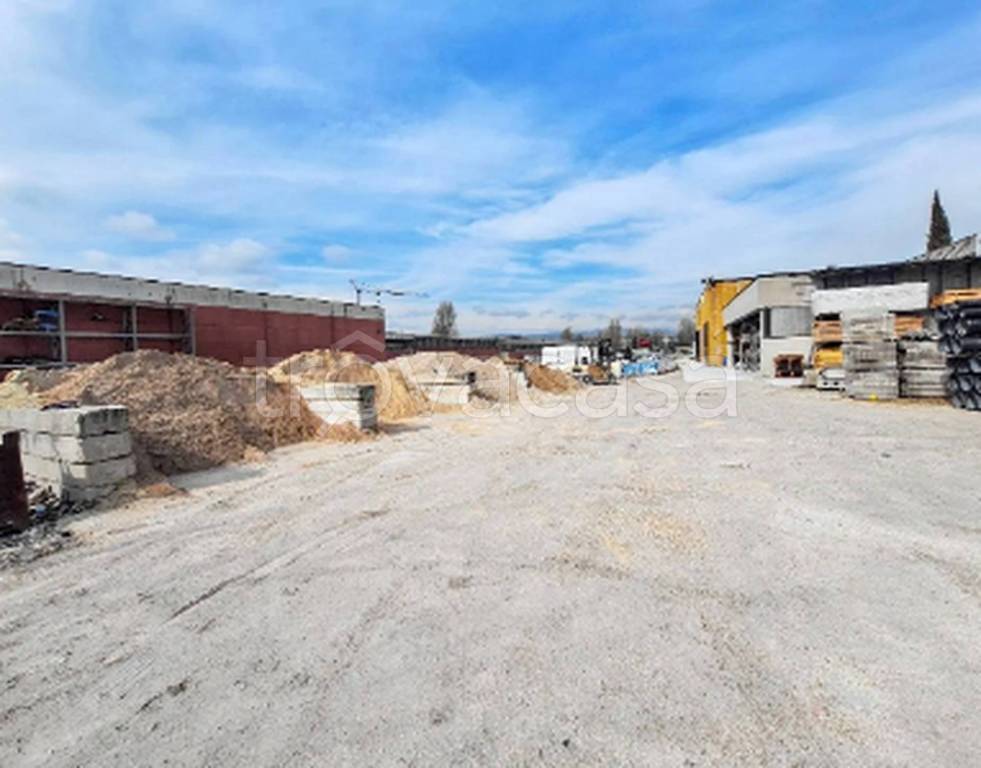 immagine annuncio 2 di 12