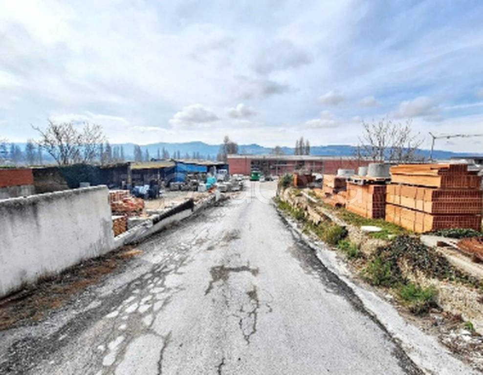 immagine annuncio 4 di 12