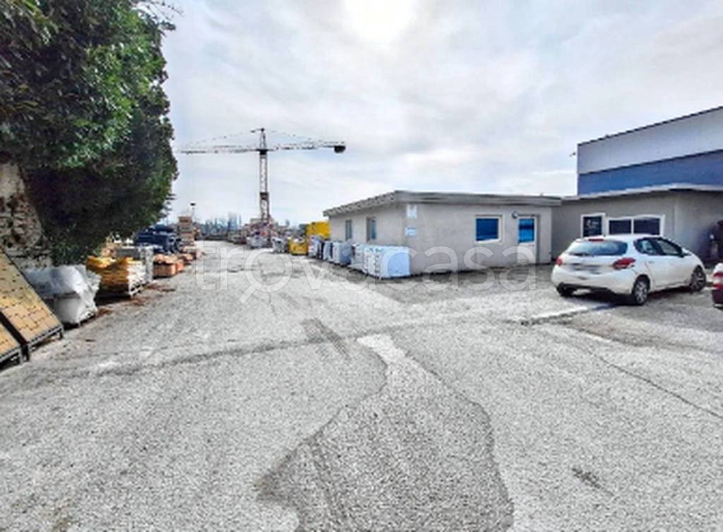 immagine annuncio 5 di 12