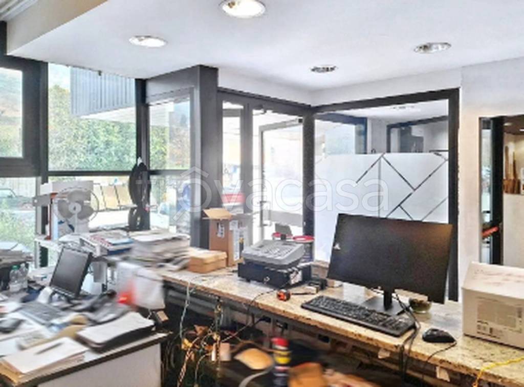 immagine annuncio 9 di 12