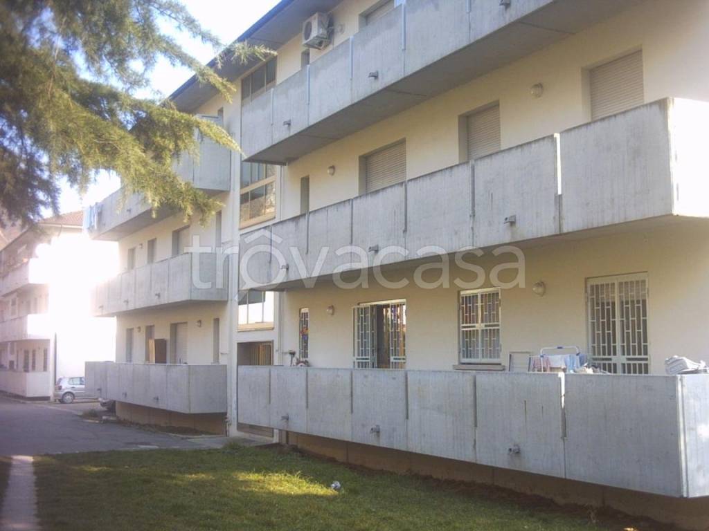 immagine annuncio 8 di 14