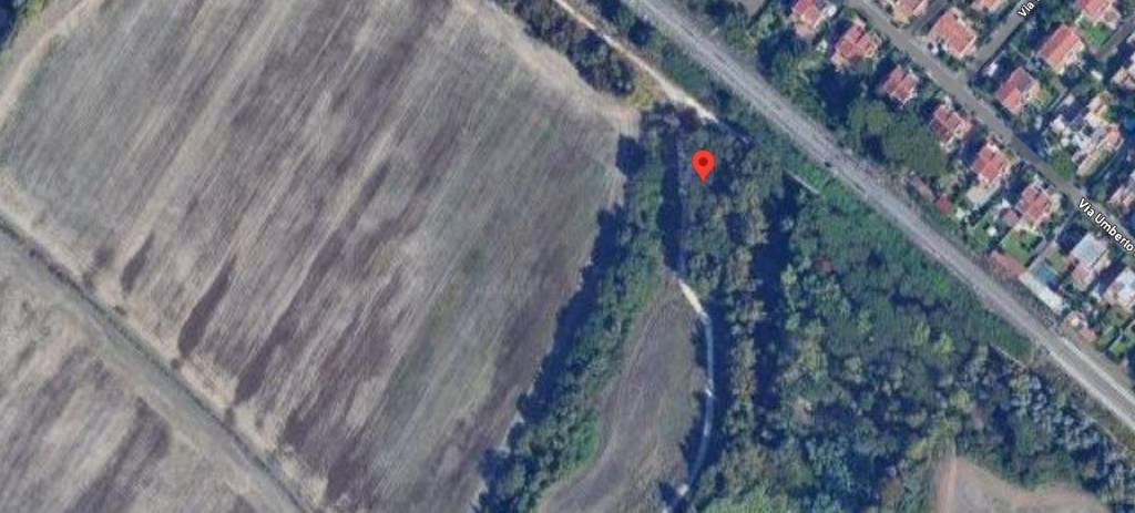 immagine annuncio 7 di 13