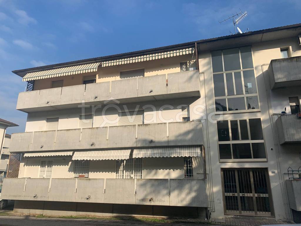 immagine annuncio 11 di 14