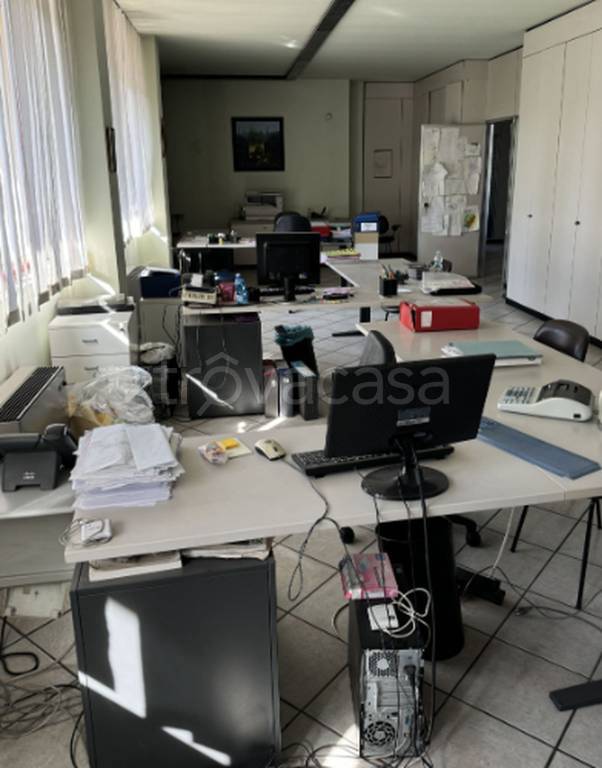 immagine annuncio 6 di 12