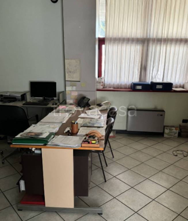 immagine annuncio 7 di 12