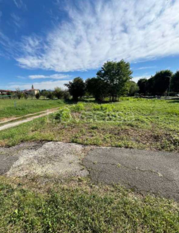 immagine annuncio 2 di 11