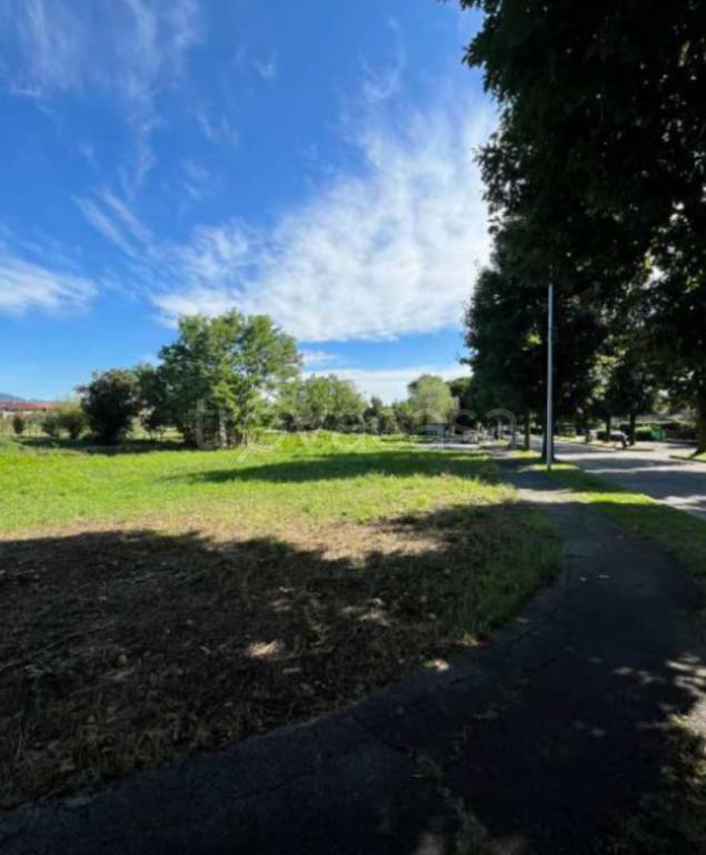 immagine annuncio 3 di 11