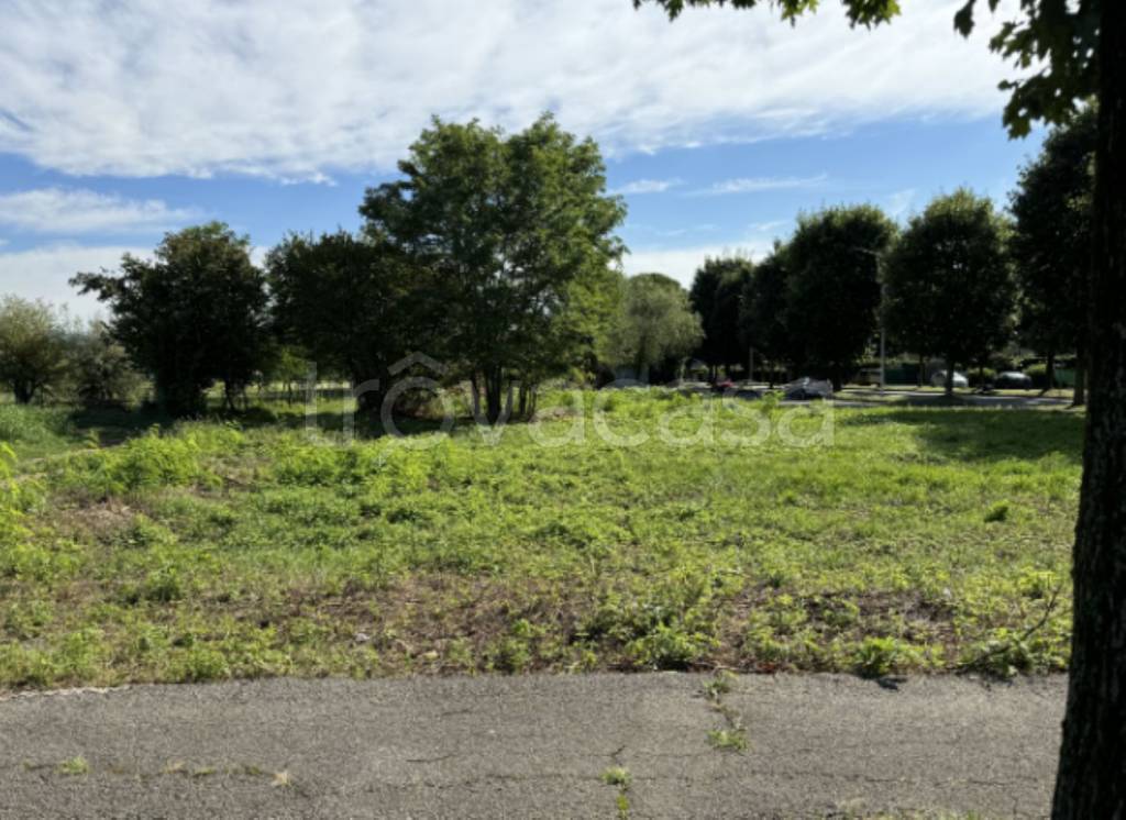 immagine annuncio 5 di 11