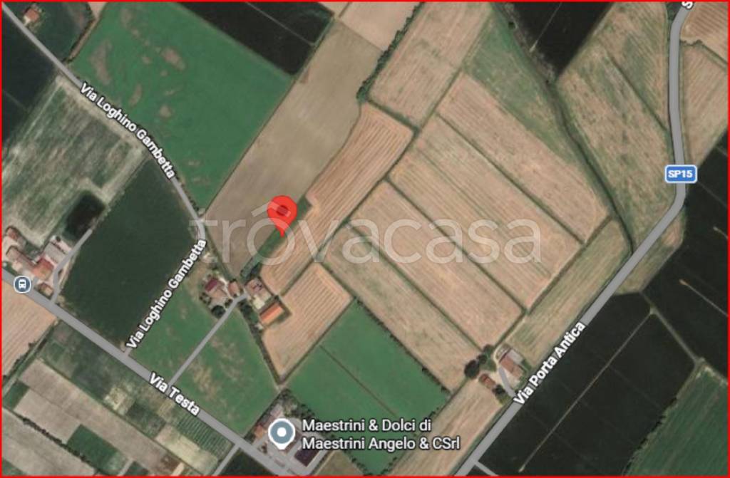 immagine annuncio 11 di 12