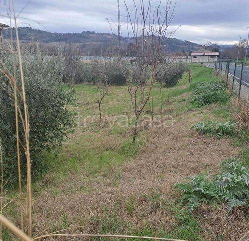 immagine annuncio 2 di 4