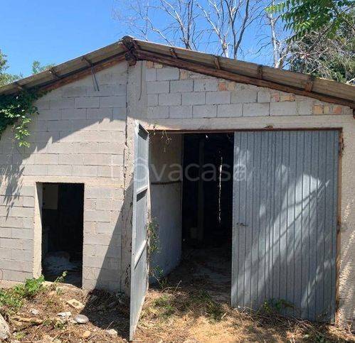 immagine annuncio 5 di 12