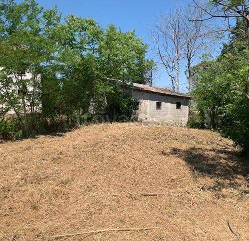 immagine annuncio 8 di 12