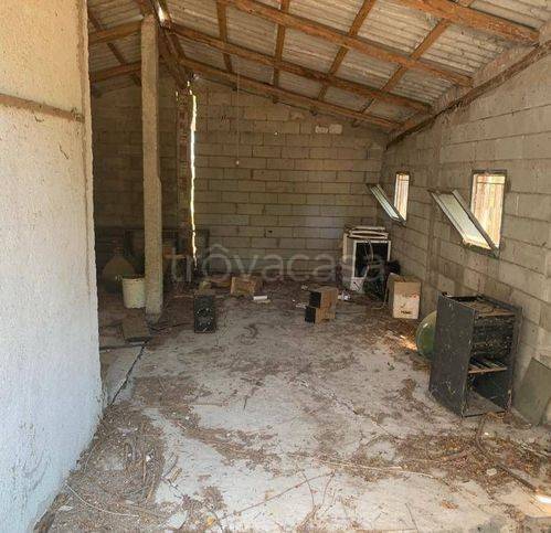 immagine annuncio 11 di 12