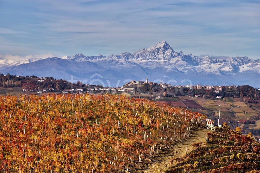 immagine annuncio 9 di 12