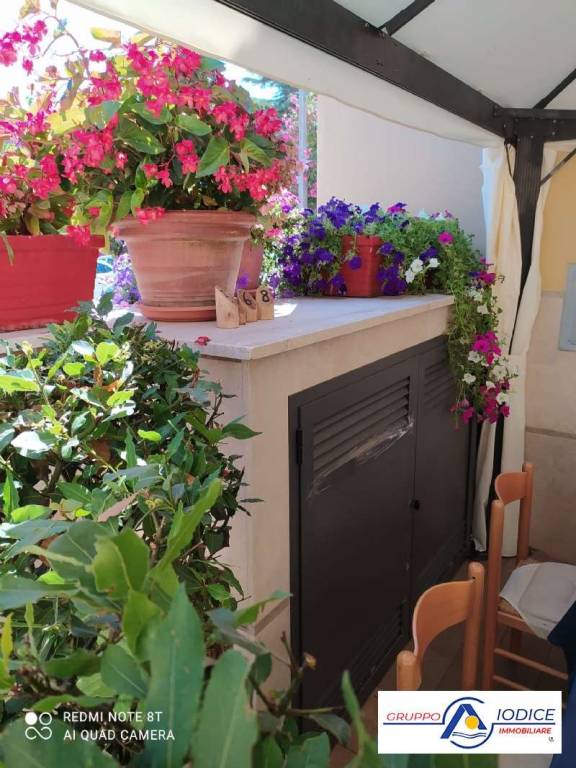 immagine annuncio 6 di 12