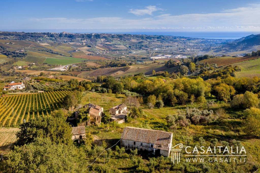 immagine annuncio 1 di 12