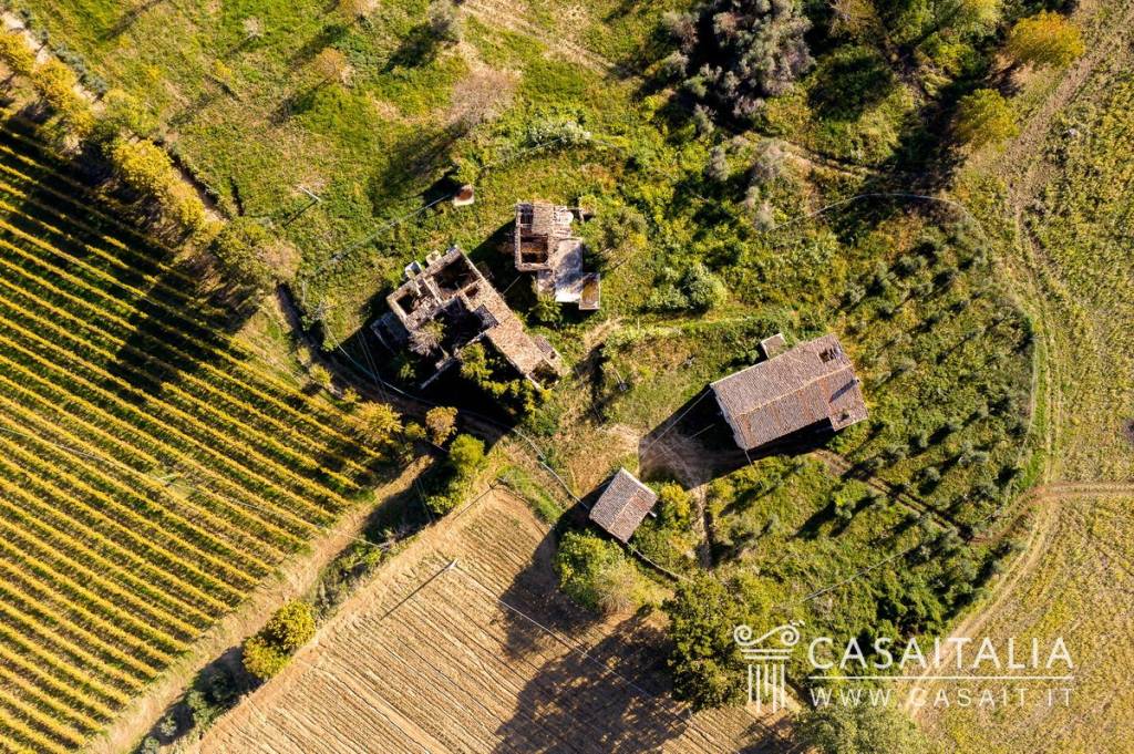 immagine annuncio 4 di 12