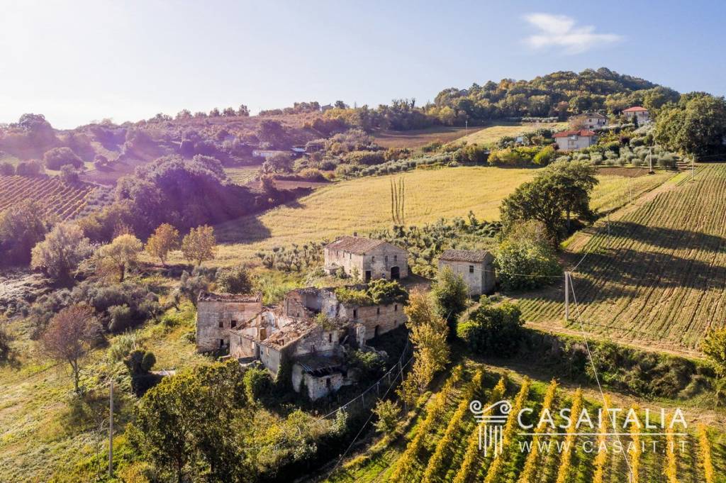 immagine annuncio 7 di 12