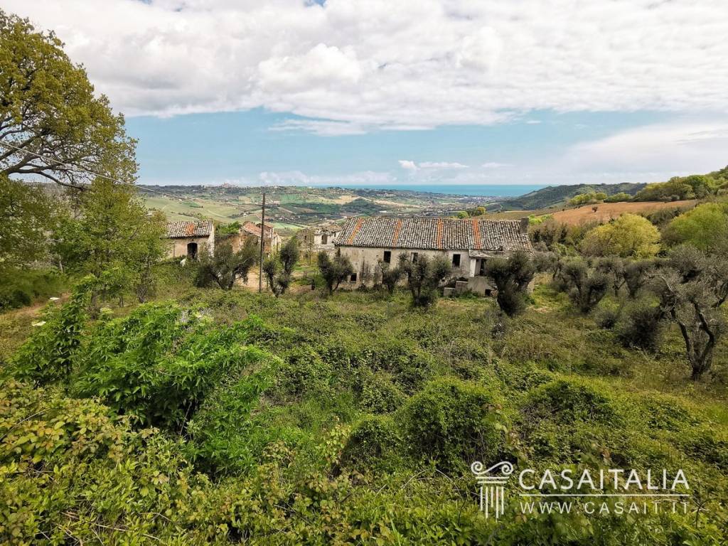 immagine annuncio 9 di 12