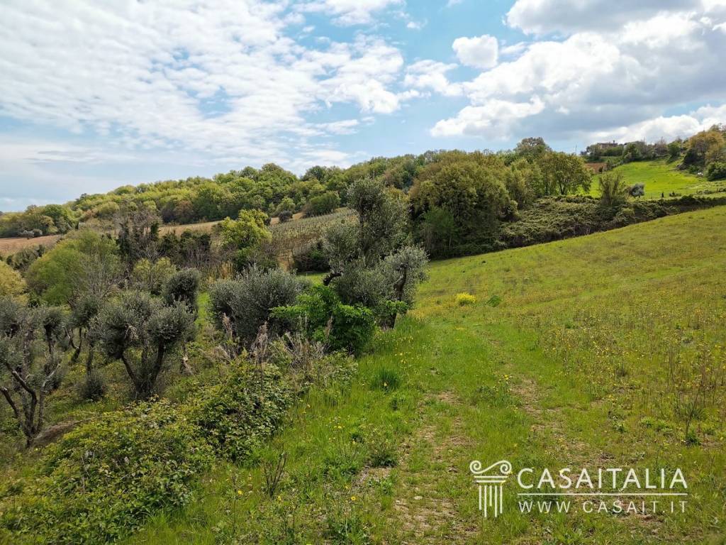 immagine annuncio 10 di 12