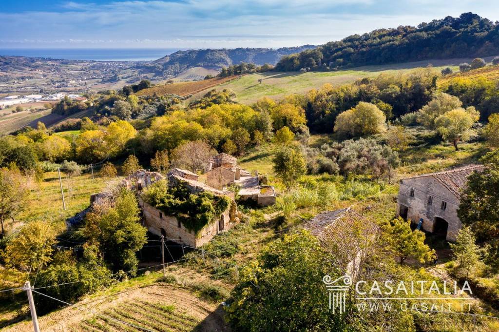 immagine annuncio 11 di 12