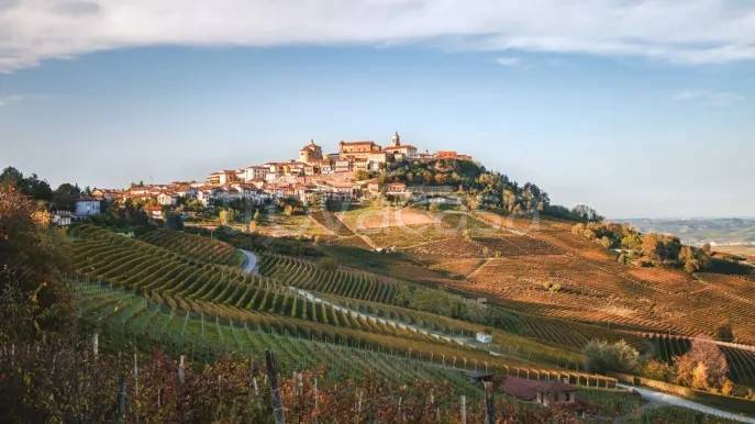 immagine annuncio 10 di 12