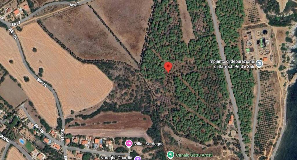 immagine annuncio 8 di 10