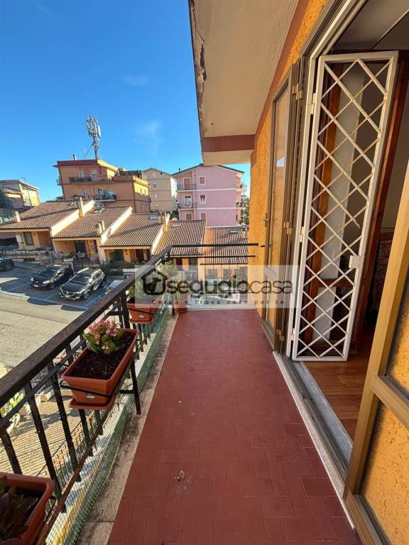 immagine annuncio 12 di 14