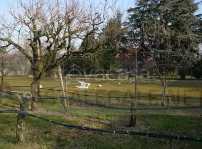 immagine annuncio 4 di 9