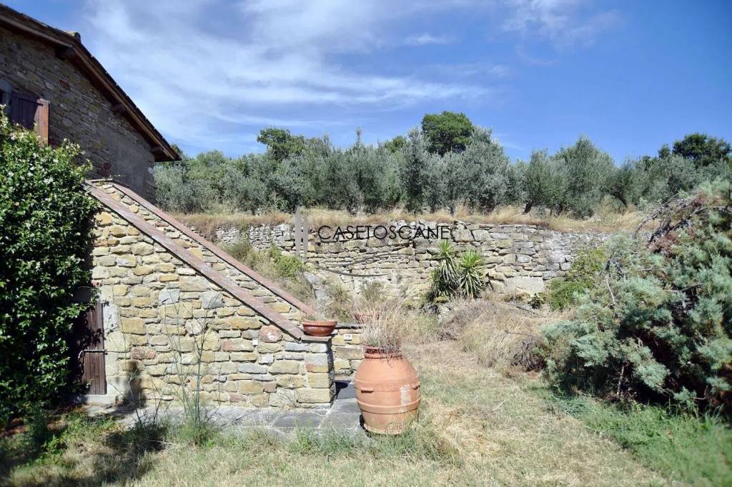 immagine annuncio 5 di 12