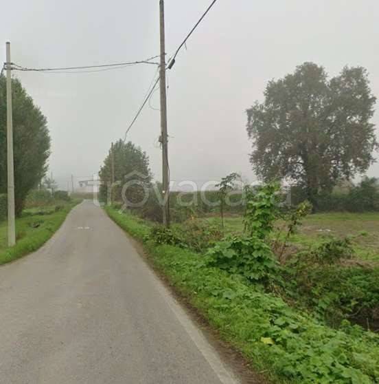 immagine annuncio 7 di 9