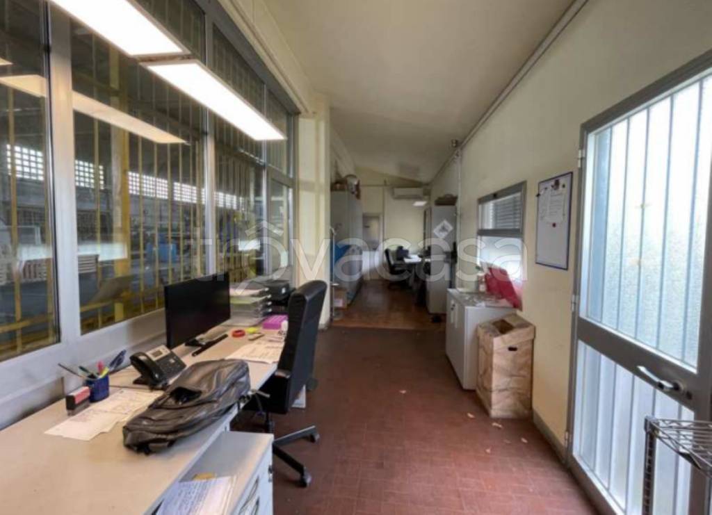 immagine annuncio 5 di 14