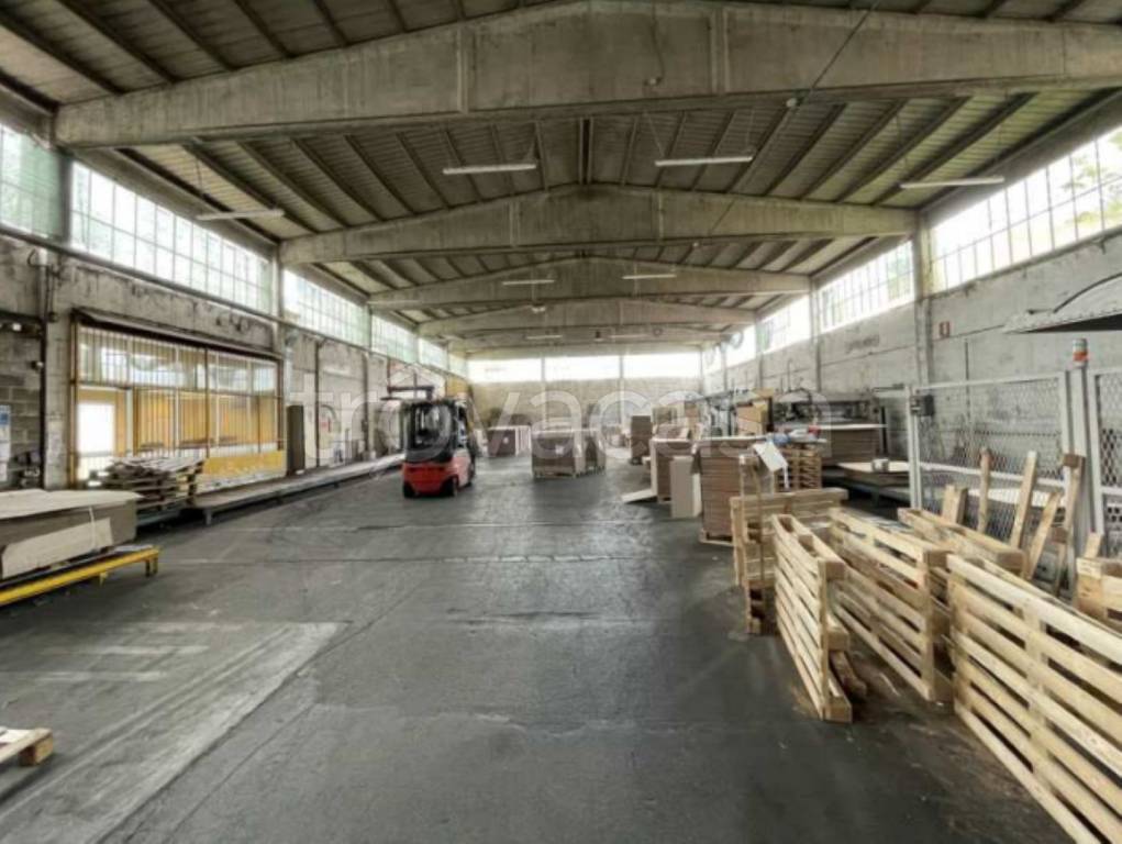 immagine annuncio 7 di 14