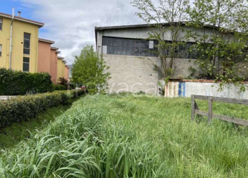 immagine annuncio 9 di 14