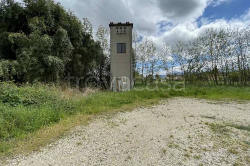 immagine annuncio 10 di 14