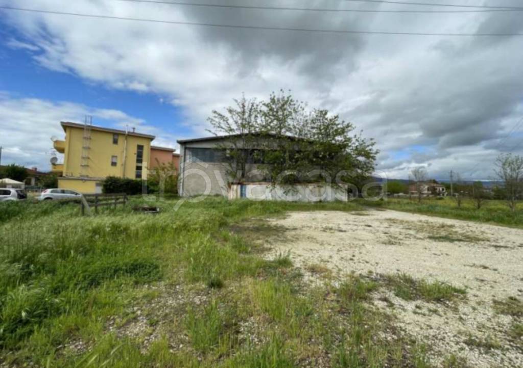 immagine annuncio 11 di 14