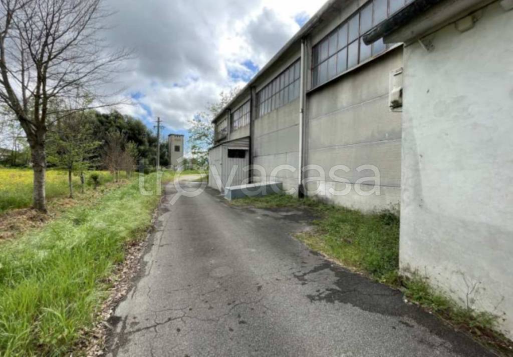 immagine annuncio 12 di 14