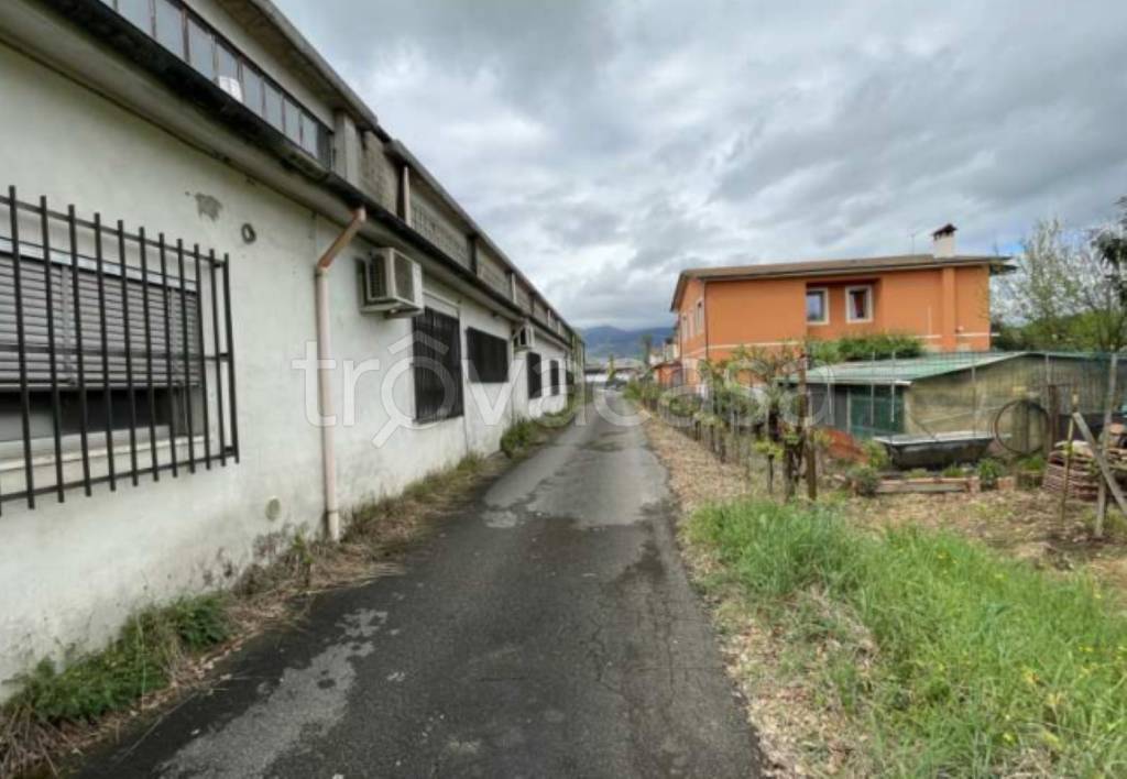 immagine annuncio 13 di 14