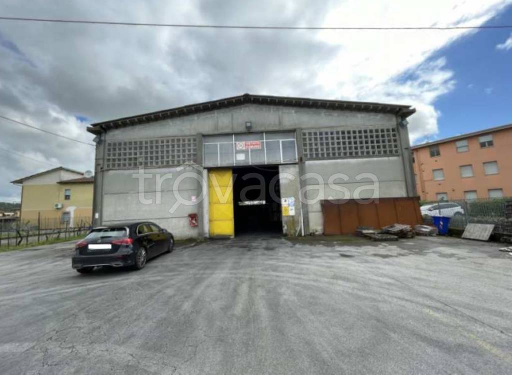 immagine annuncio 4 di 14