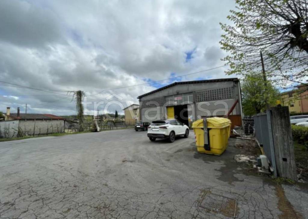 immagine annuncio 6 di 14