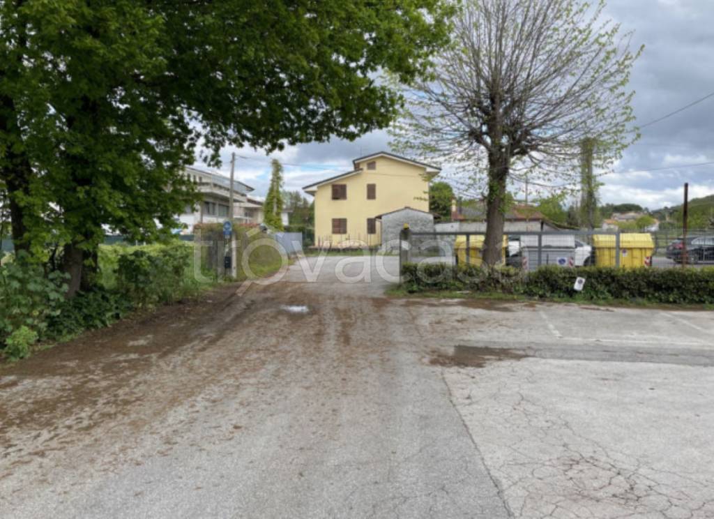 immagine annuncio 1 di 14